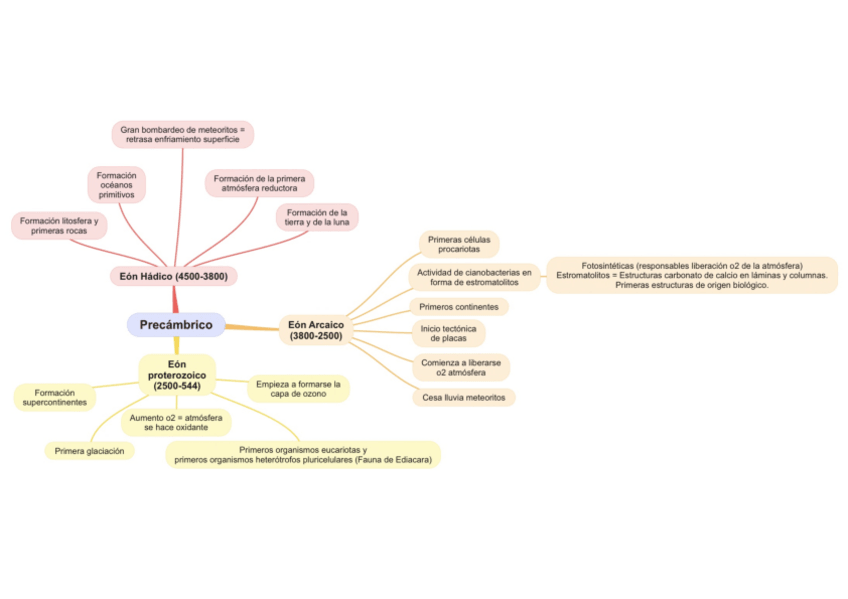 Miniatura del documento Ciencias-Mapas-Mentales.pdf