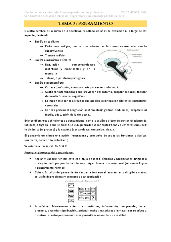 Miniatura del documento Pensamiento-PSICOLOGIA.pdf