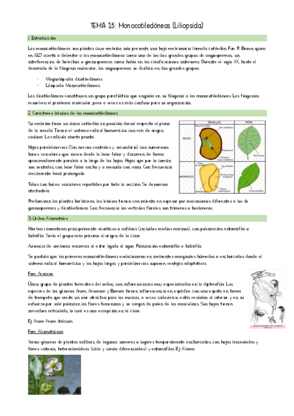 Miniatura del documento TEMA-15-Botanica-II.pdf