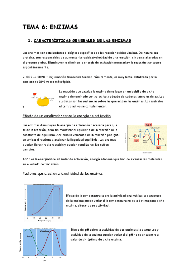 Miniatura del documento Tema-6-enzimas.pdf