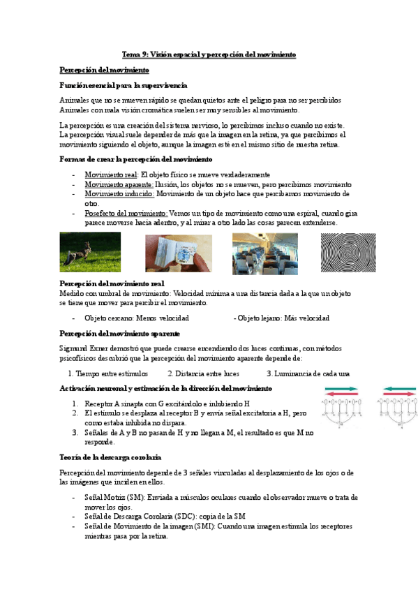 Miniatura del documento Tema-9-Psicologia-de-la-Percepcion.pdf