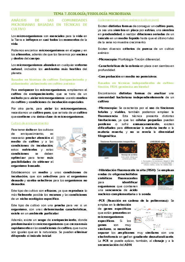 Miniatura del documento Tema 7 microbiología, Ecología/Fisiología bacteriana.pdf