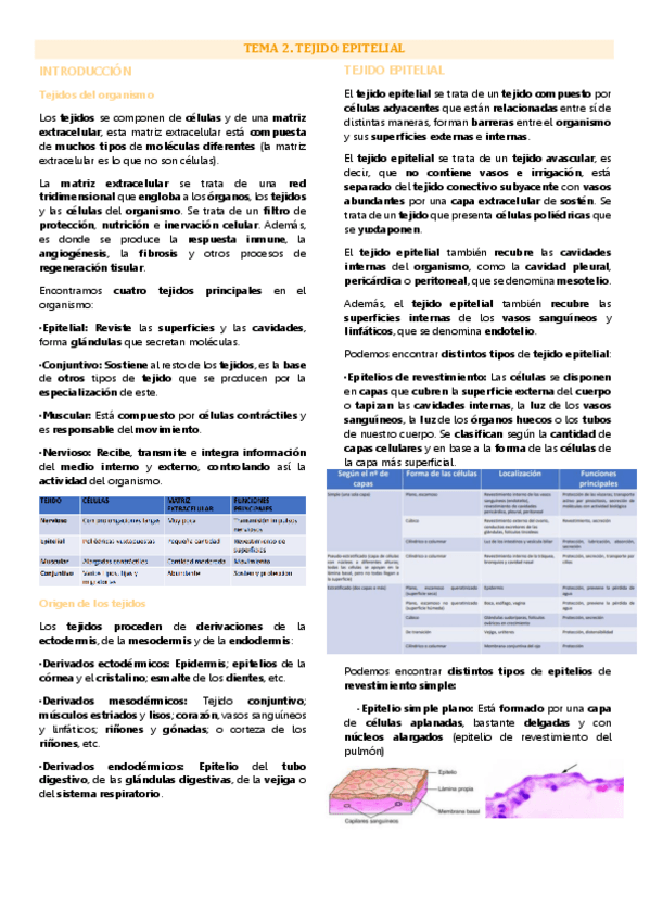 Miniatura del documento Tema 2 biología tisular, Tejido epitelial.pdf