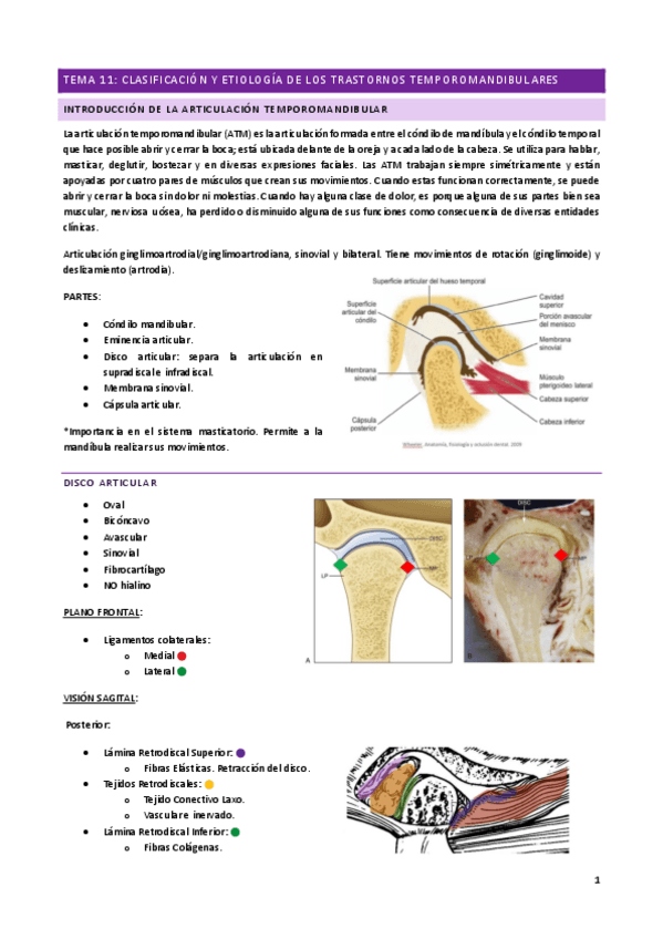 Miniatura del documento Tema-11.pdf