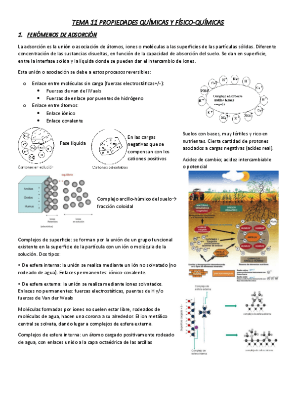 Miniatura del documento Tema-11.pdf