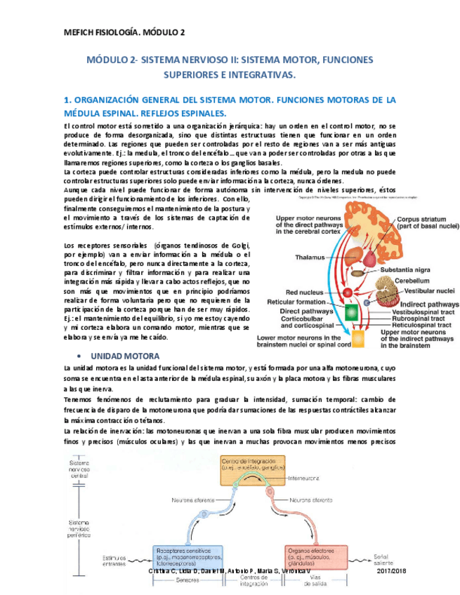 Miniatura del documento APUNTES FISIOLOGÍA MÓDULO 2.pdf