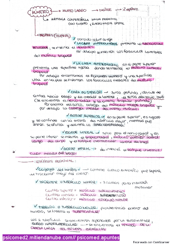 Miniatura del documento Humero-todo-lo-que-tenes-que-saber.pdf