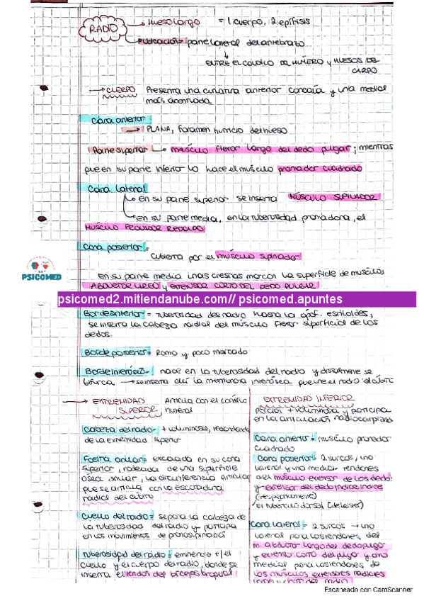Miniatura del documento Radio-todo-lo-que-tenes-que-saber.pdf