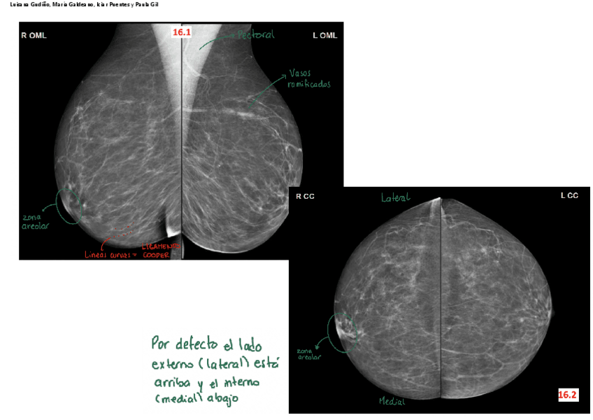 Miniatura del documento ANEXO-T16.pdf