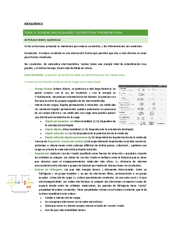 Miniatura del documento BIOQUIMICA.pdf