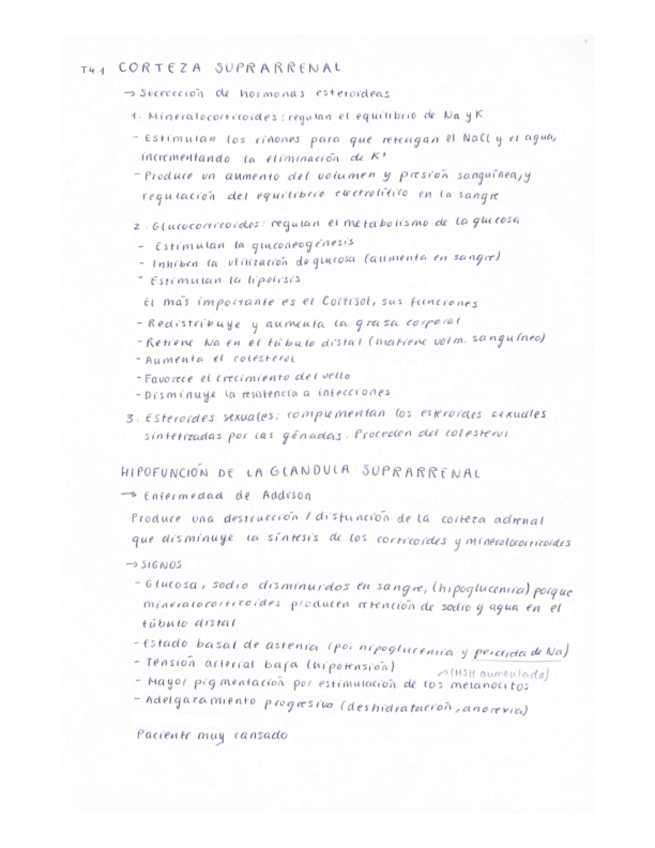 Miniatura del documento Tema-4 2024.pdf