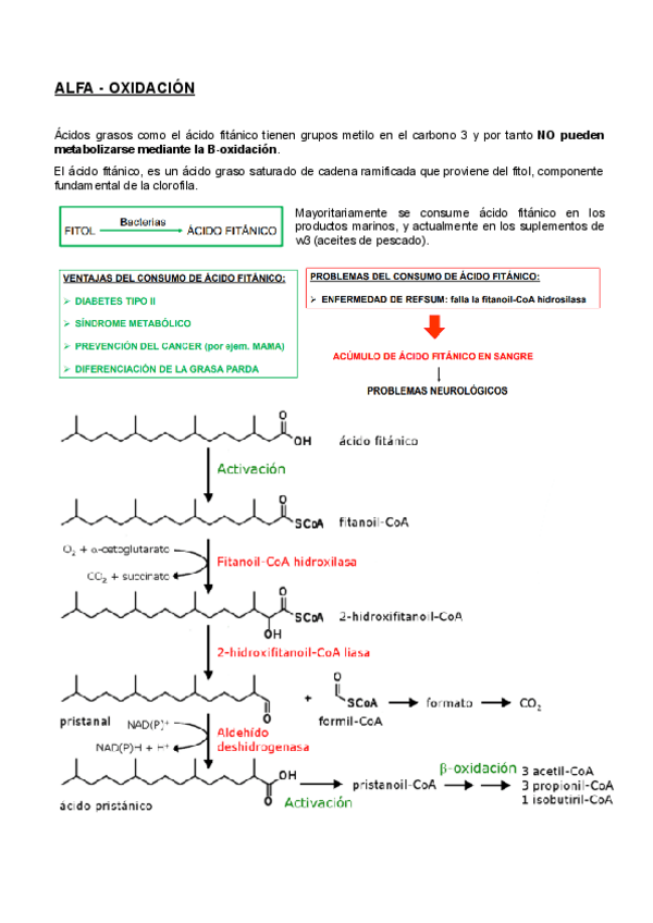 Miniatura del documento ALFA-OXIDACION.pdf