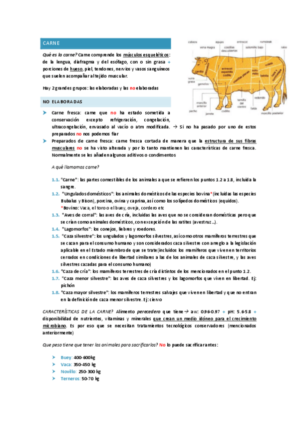 Miniatura del documento apunts-de-carn-complets.pdf