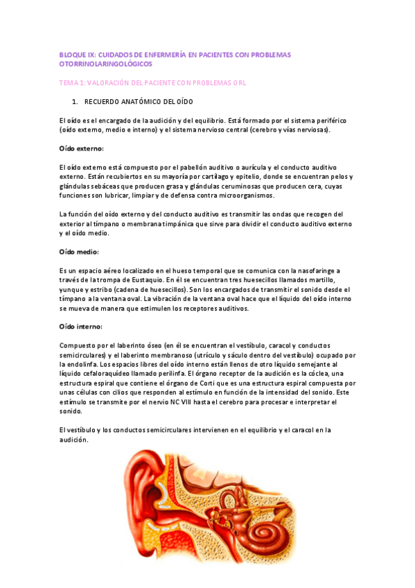 Miniatura del documento BLOQUE-OTORRINO.pdf