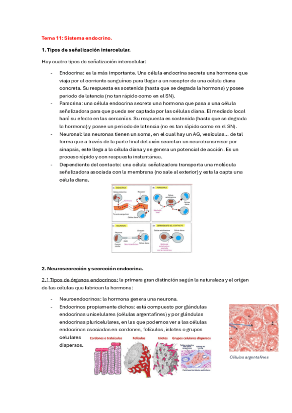 Miniatura del documento Tema-11-organo-animal-2023-2024.pdf