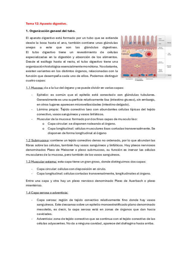 Miniatura del documento Tema-12-organo-animal-2023-2024.pdf