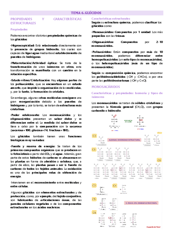 Miniatura del documento Tema 6 química biomolecular, Glúcidos.pdf