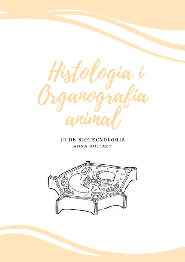 Miniatura del documento histologia-i-organografia-animal.pdf