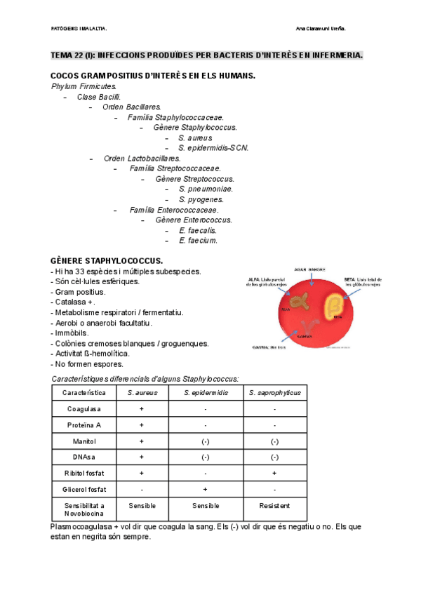Miniatura del documento PATOGENS-I-MALALTIA..pdf