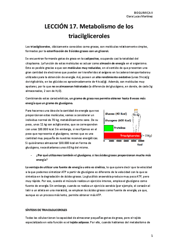 Miniatura del documento LECCION-17.-Metabolismo-de-los-triacilgliceroles.pdf