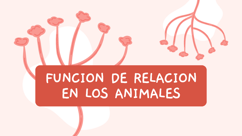 Miniatura del documento Funcion-de-relacion-en-los-animales.pdf