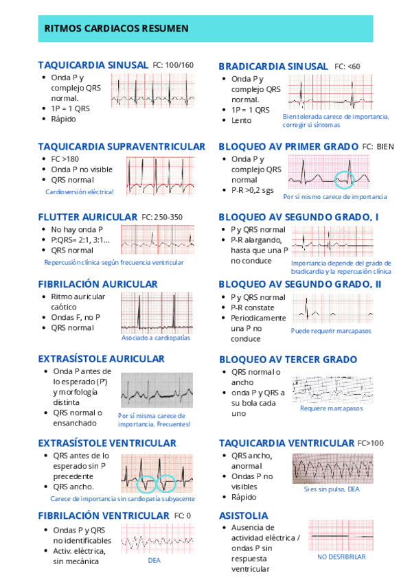 Miniatura del documento RITMOS-CARDIACOS-RESUMEN.pdf