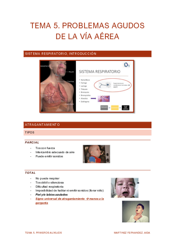 Miniatura del documento TEMA-5-PA.pdf