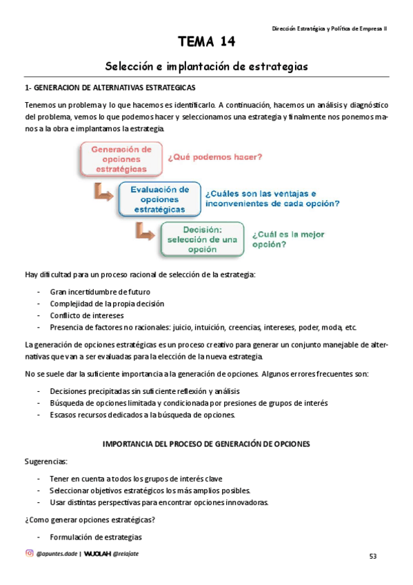 Miniatura del documento TEMA-14-Seleccion-e-implantacion-de-estrategias.pdf