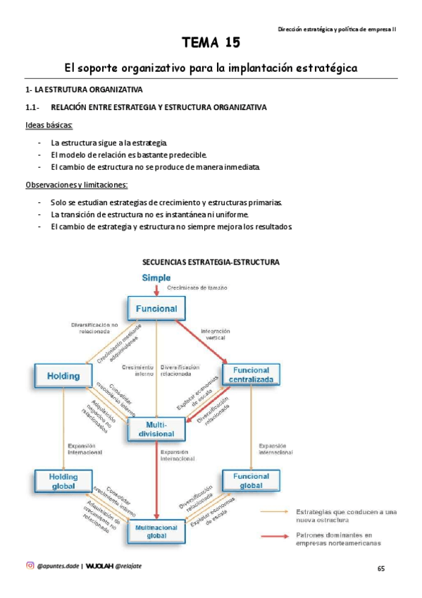 Miniatura del documento TEMA-15-El-soporte-organizativo-para-la-implantacion-estrategica.pdf