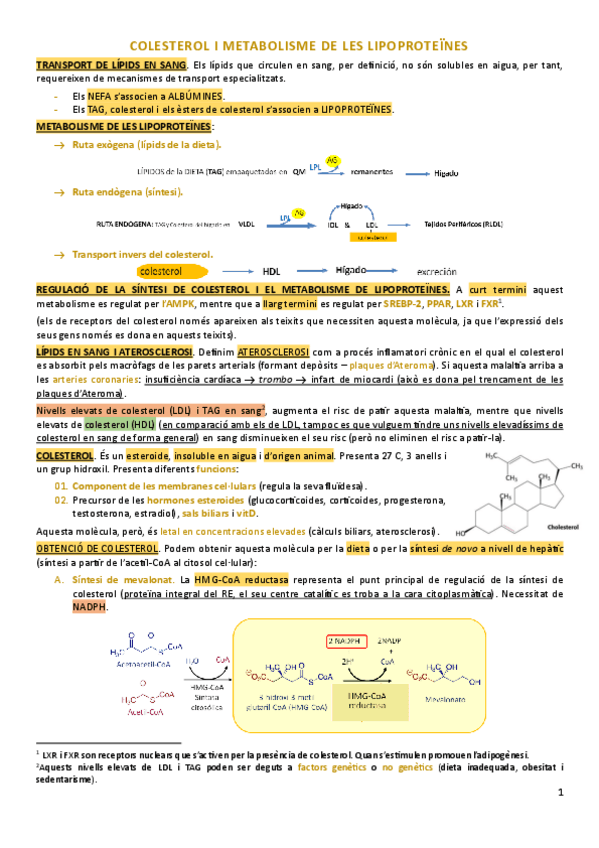 Miniatura del documento bloc3-metabolisme-del-colesterol-i-aterosclerosis.pdf