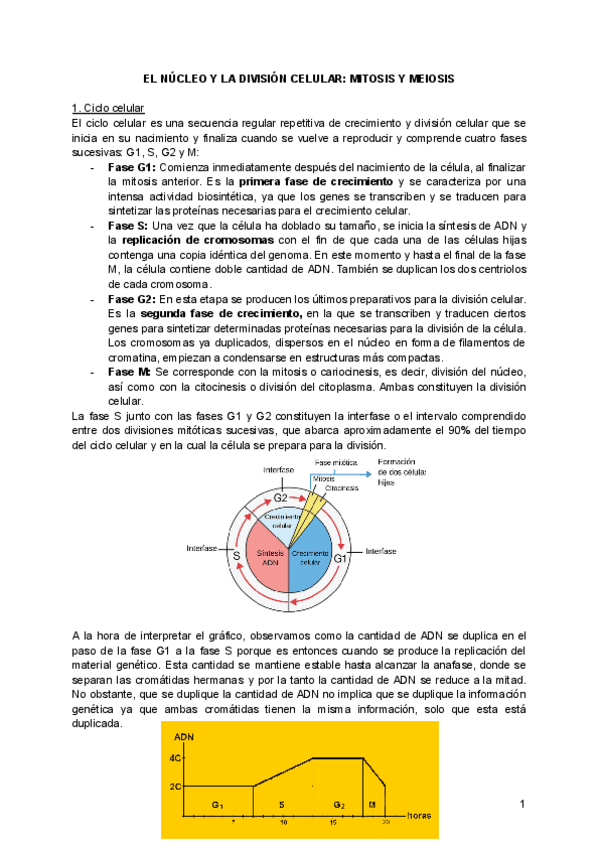 Miniatura del documento MITOSIS-Y-MEIOSIS.pdf