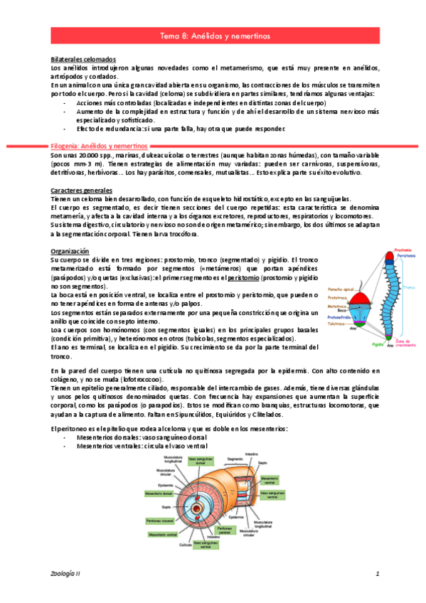 Miniatura del documento Tema-8. Zoo II.pdf