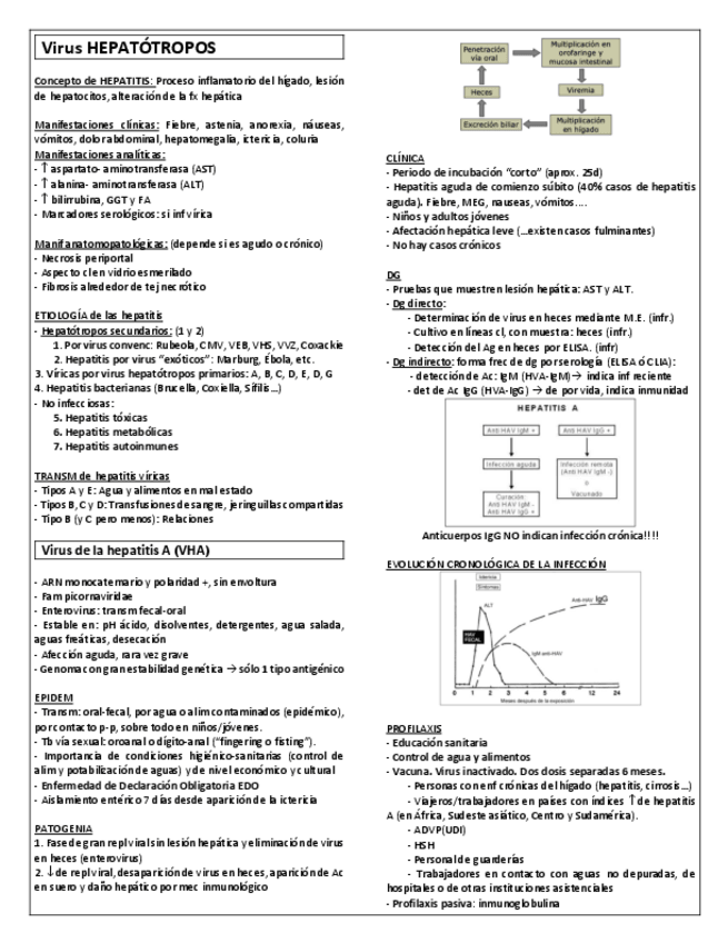 Miniatura del documento MICRO-T30.-Virus-HEPATOTROPOS.pdf