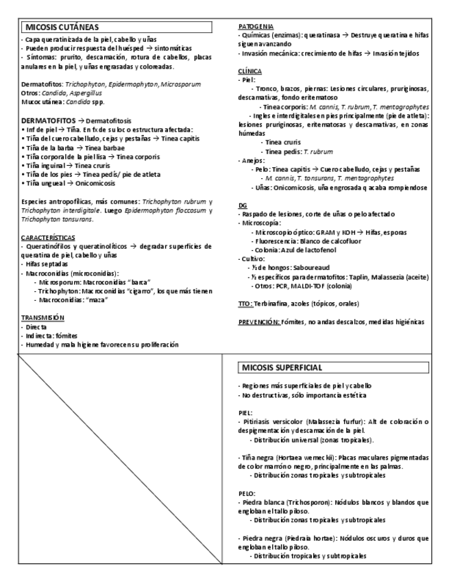 Miniatura del documento MICRO-T33.-Micosis-superficiales.pdf