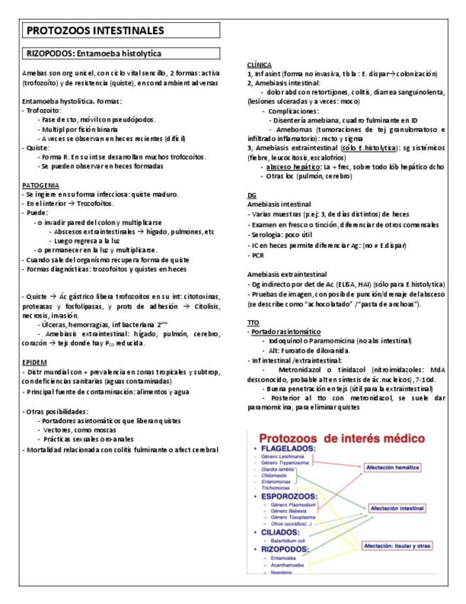 Miniatura del documento MICRO-T37.-PROTOZOOS-INTESTINALES-Y-TISULARES.pdf
