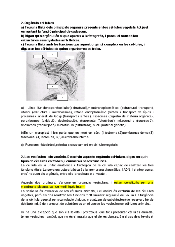 Miniatura del documento PREGUNTAS-EBAU-CELLULA.pdf