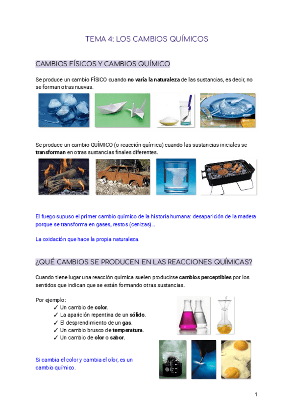 Miniatura del documento TEMA-4-LOS-CAMBIOS-QUIMICOS-Almudena-de-la-Fuente.pdf