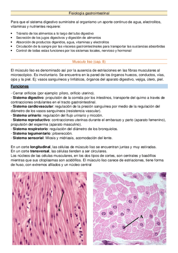 Miniatura del documento Fisiologia-Propulsion-y-mezcla-de-los-alimentos-en-el-tubo-digestivo.pdf