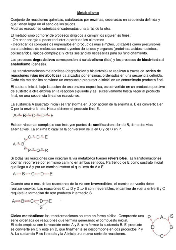 Miniatura del documento Quimica-Metabolismo.pdf