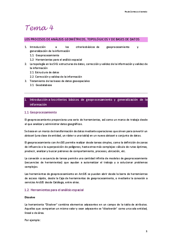 Miniatura del documento Tema-4-SIG-2024.pdf