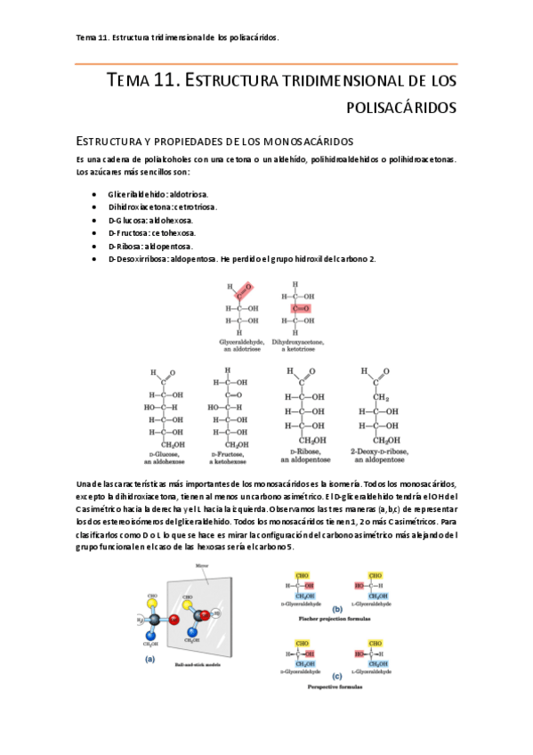 Miniatura del documento Tema 11.pdf