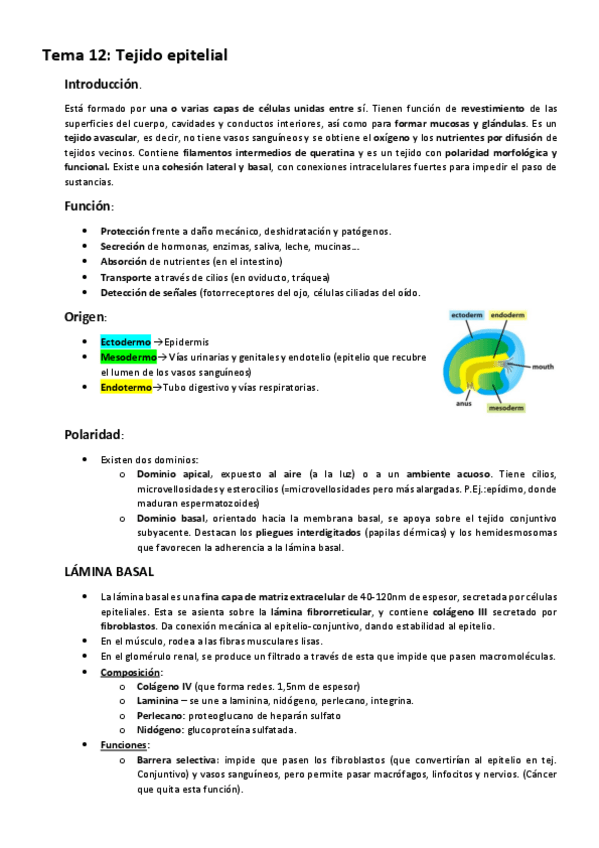 Miniatura del documento SEGUNDO PARCIAL - TODO.pdf