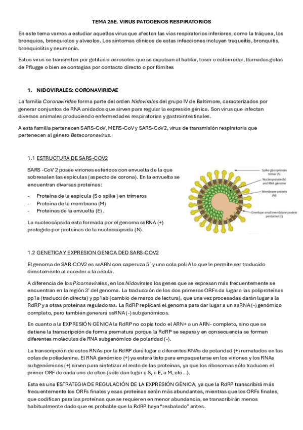 Miniatura del documento TEMA-25E-MICRO.pdf