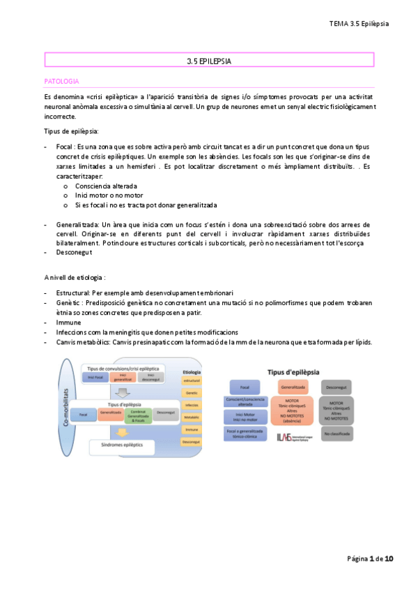 Miniatura del documento 3.5-FARMACO-EPILEPSIA.pdf
