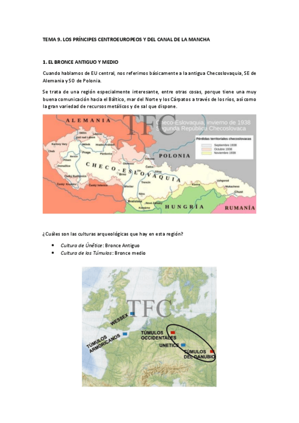 Miniatura del documento TEMA-9.pdf