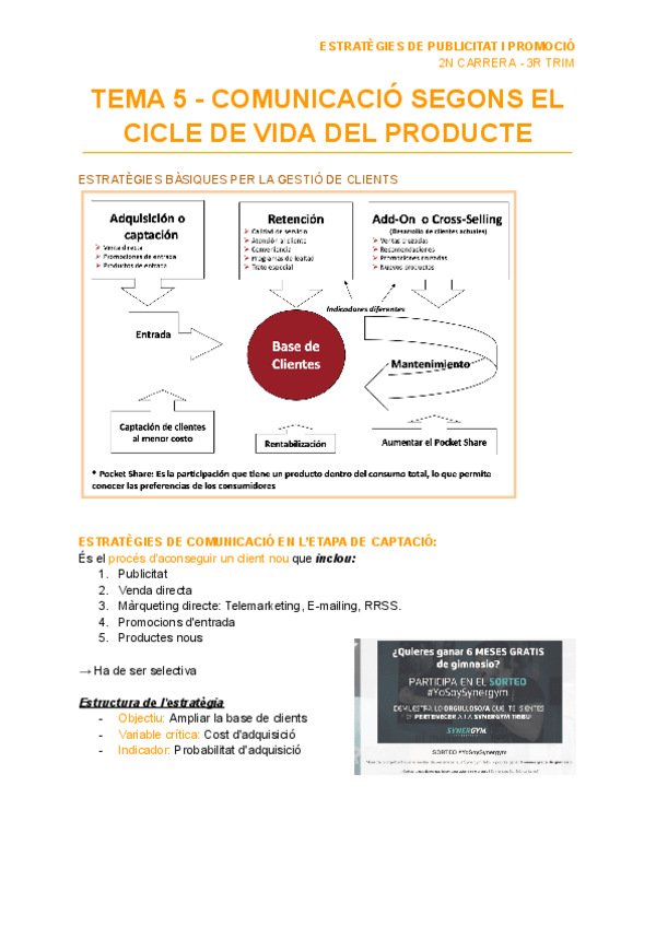 Miniatura del documento TEMA-5-COMUNICACIO-SEGONS-EL-CICLE-DE-VIDA-DEL-PRODUCTE.pdf