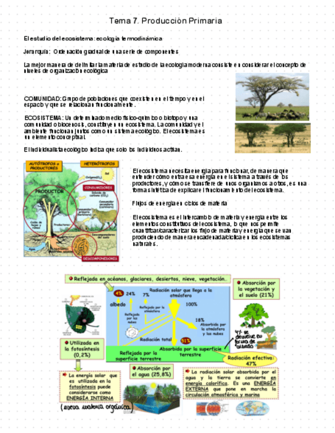 Miniatura del documento Tema-7.pdf
