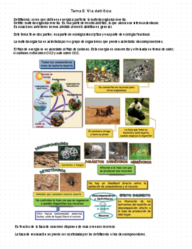 Miniatura del documento Tema-9.pdf