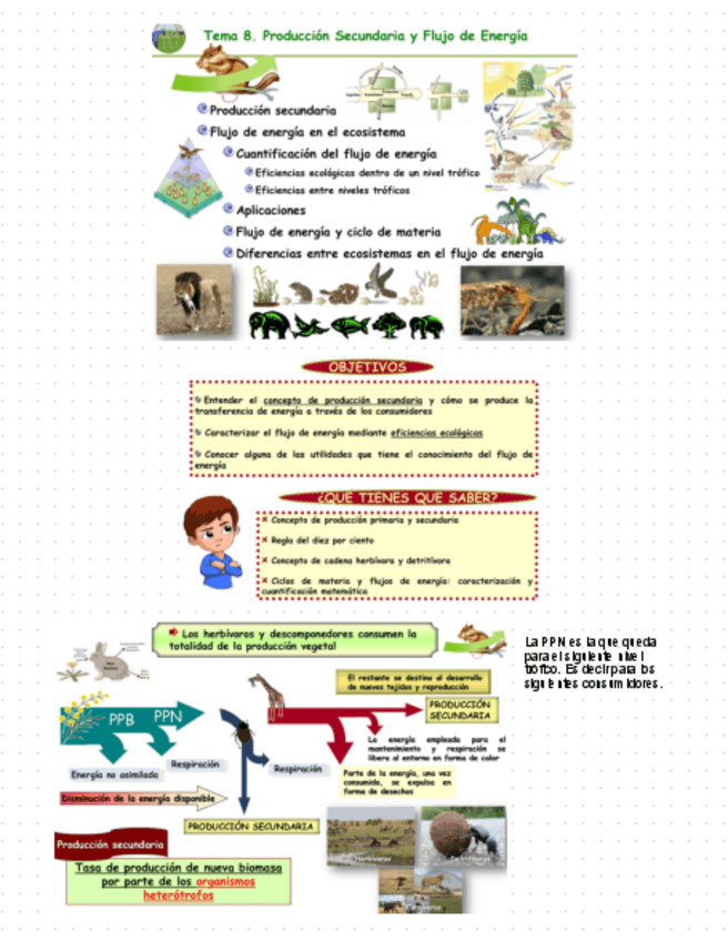 Miniatura del documento Tema-8.pdf