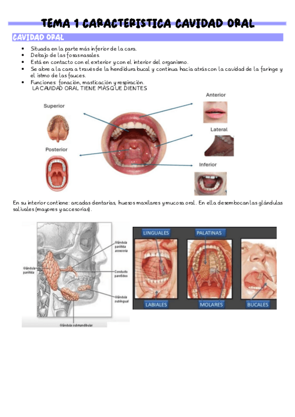 Miniatura del documento TEMA-1-AL-14.pdf